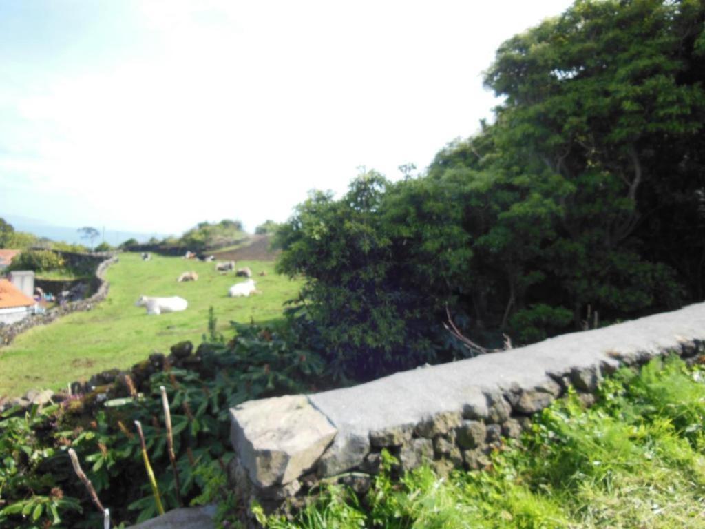 Casa Do Norte Prainha de Cima 外观 照片